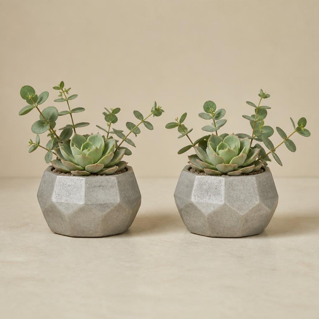 Concrete Mini Pot Duo