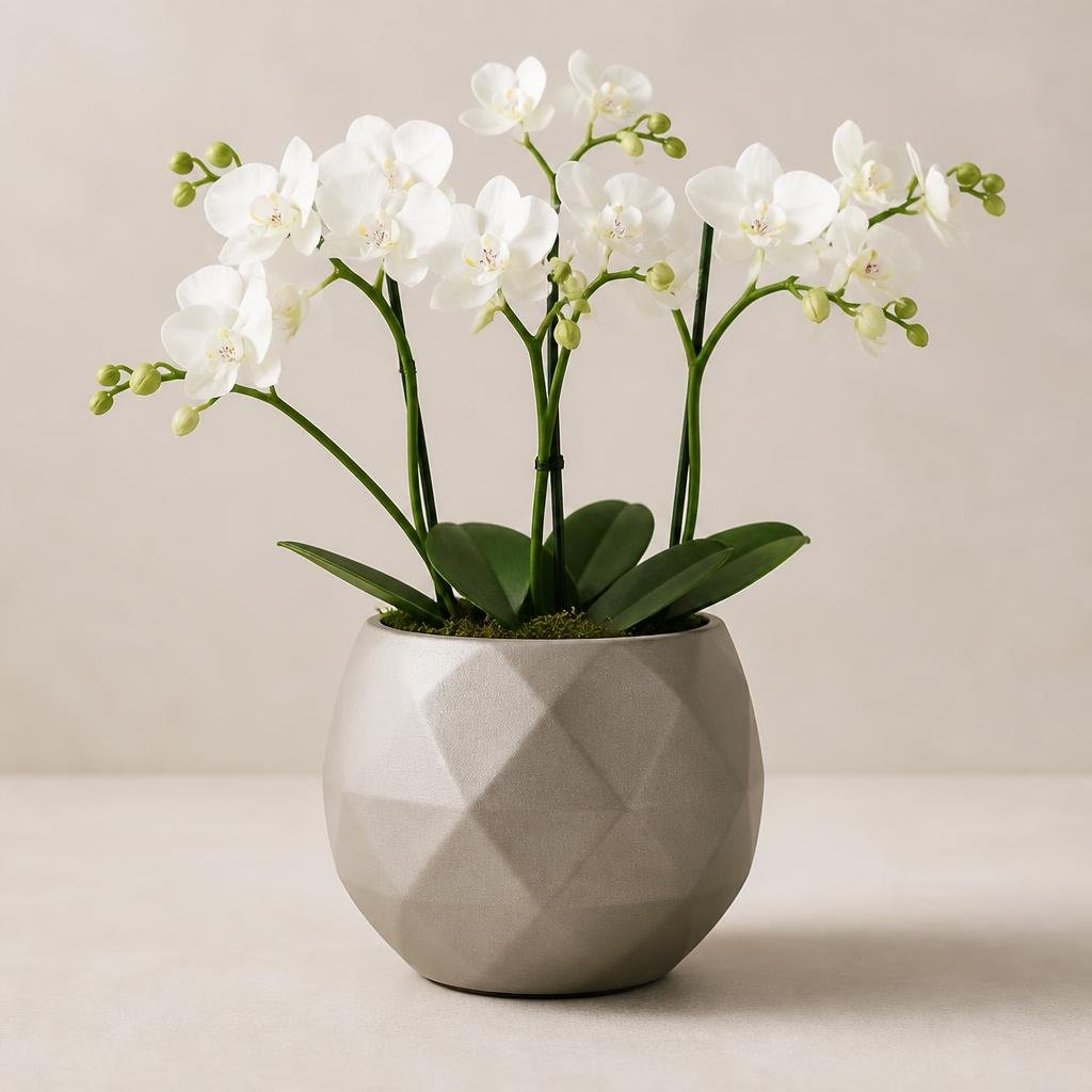 Matte Ceramic Planter