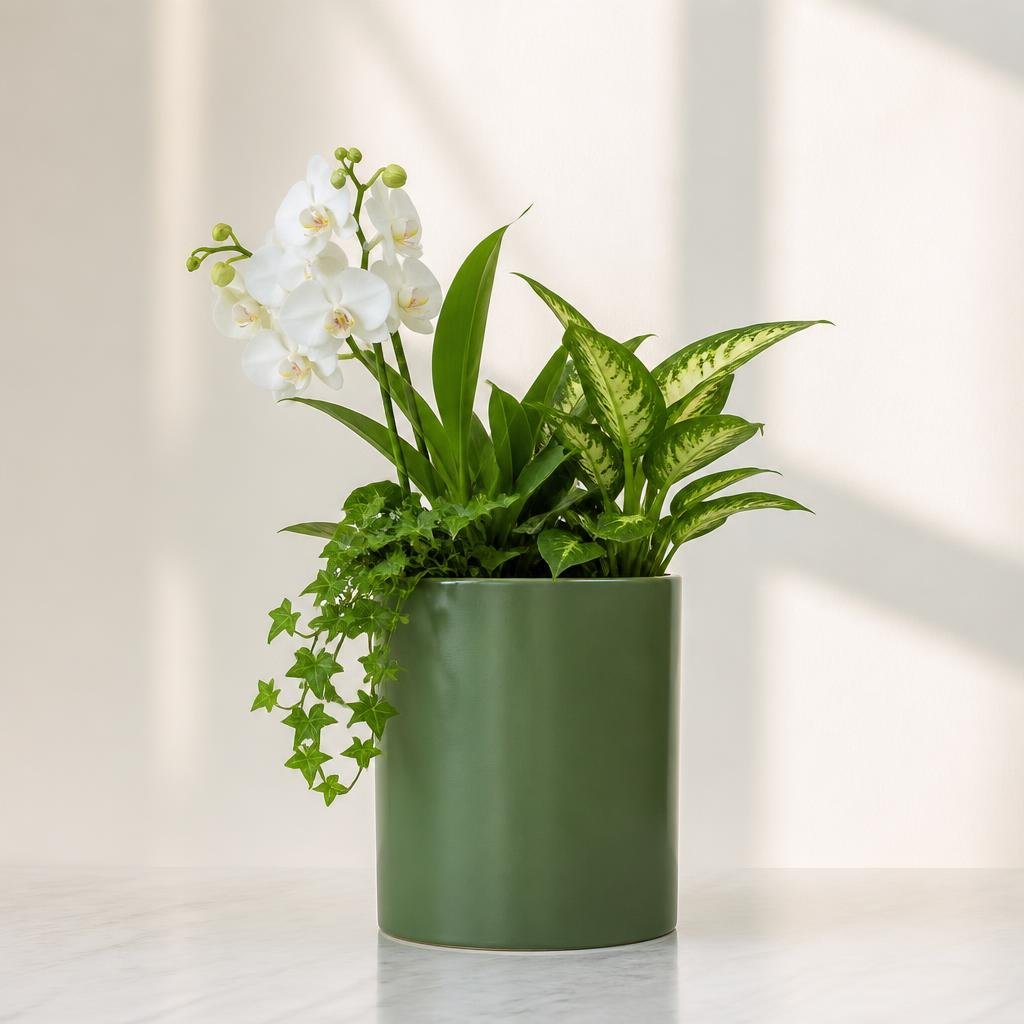 Matte Ceramic Planter