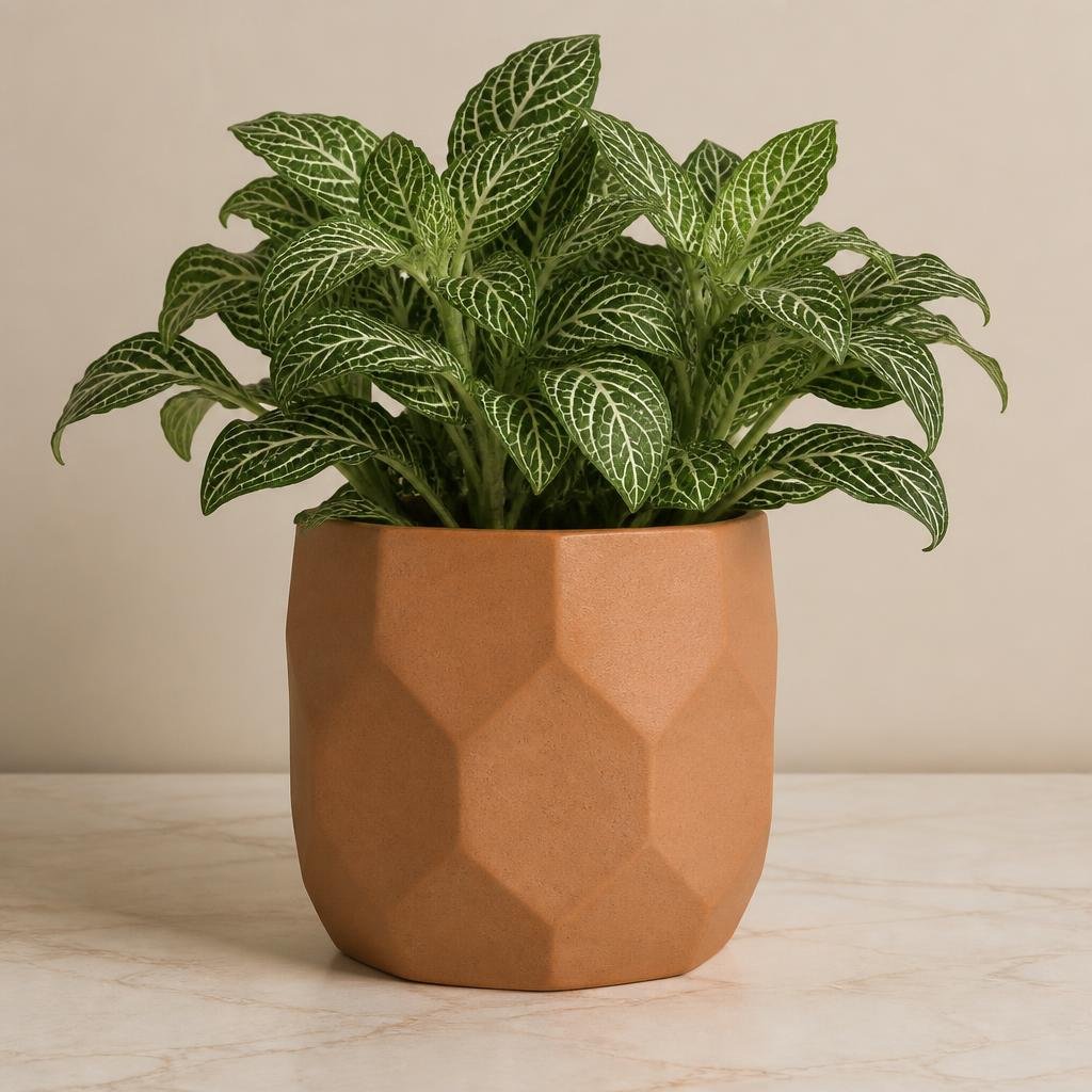 Terracotta Planter Pot