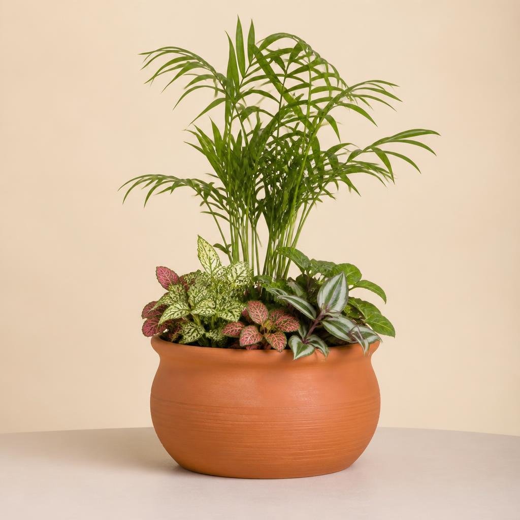 Terracotta Planter Pot